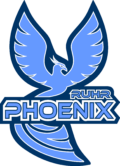 Blaues Logo mit einem Phoenix und der Aufschrift Ruhr Phoenix