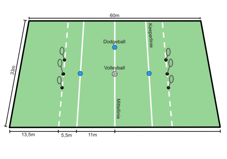 Schematische Darstellung Quadball Spielfeld mit Ringen, Bällen und Linien